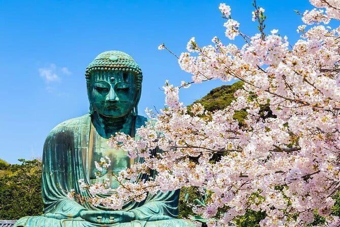 Kamakura Great Buddha and Enoshima with hotel Pickup small group - Key Things That Make This Tour Worth Your Time