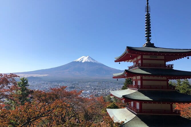 Kamakura Great Buddha and Enoshima with hotel Pickup small group - Stop 4: Tsurugaoka Hachimangu Shrine (1.5 Hours, Free)