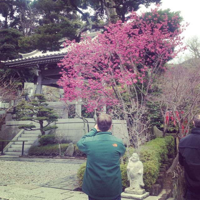 Kamakura: Great Buddha, Hase Temple, & Komachi Street Tour - Enoden time: the local train that makes the day feel real