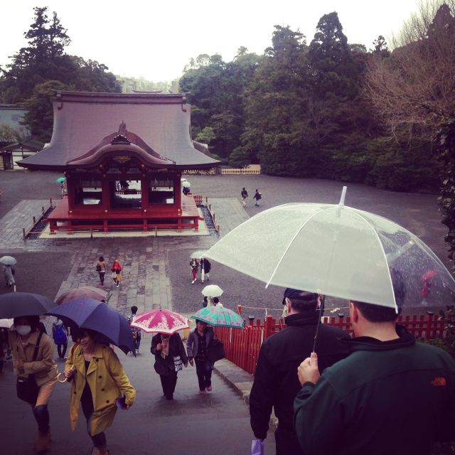 Kamakura: Great Buddha, Hase Temple, & Komachi Street Tour - Tsurugaoka Hachimangu and Komachi Dori: shrine atmosphere plus shopping time