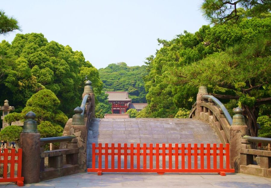 Kamakura: Great Buddha, Hase Temple, & Komachi Street Tour - Price and logistics: is $530 per group actually good value?