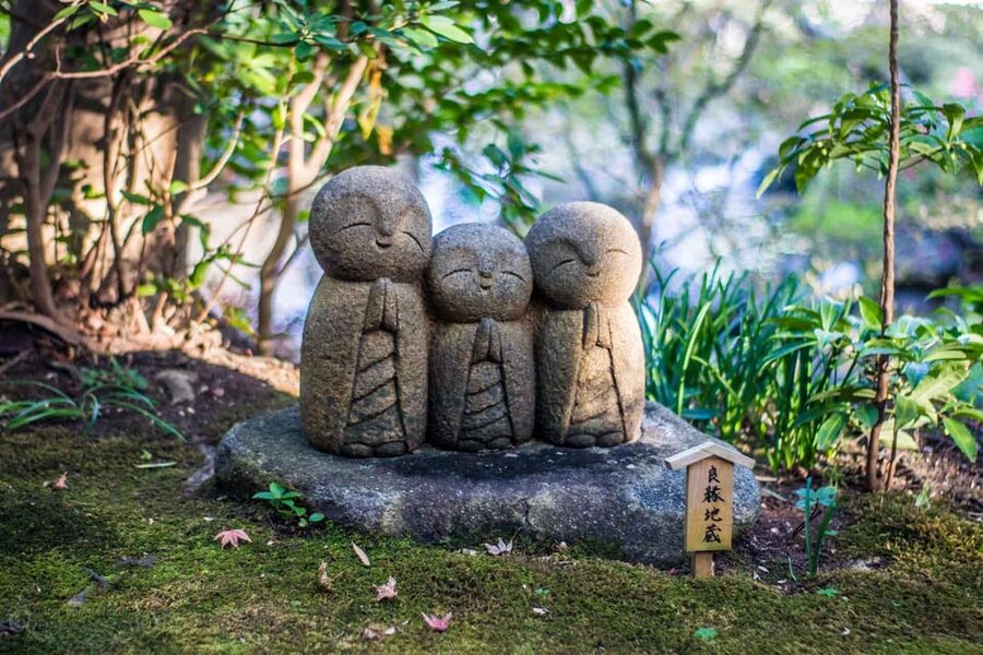 Kamakura Half Day Tour with a Local Expert Guide - Key Points You’ll Actually Care About