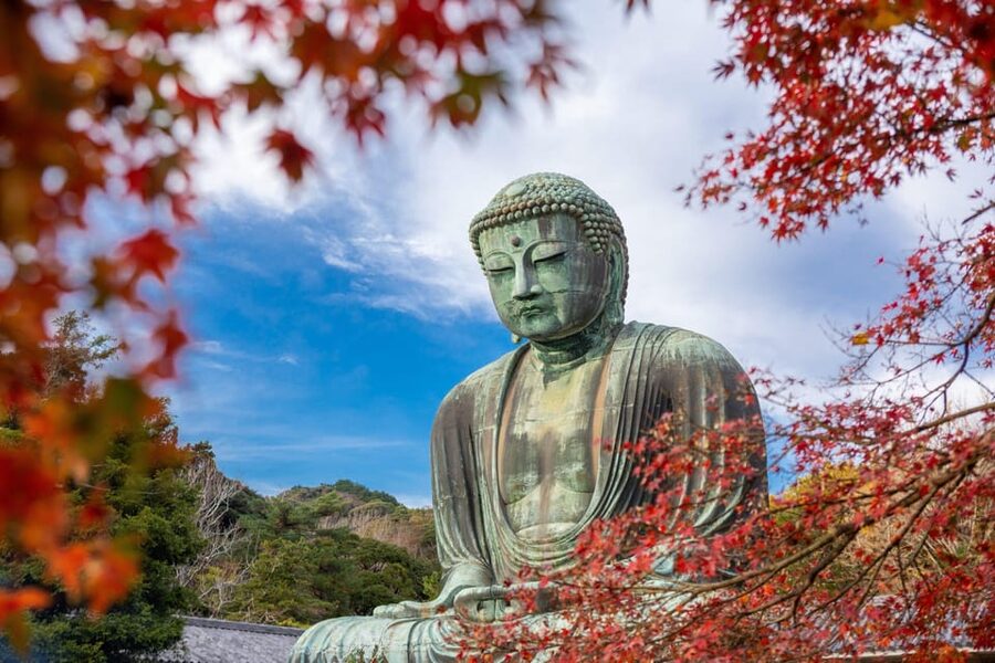 Kamakura Half Day Tour with a Local Expert Guide - Zen Temples, Gardens, and That Calmer Side of Kamakura