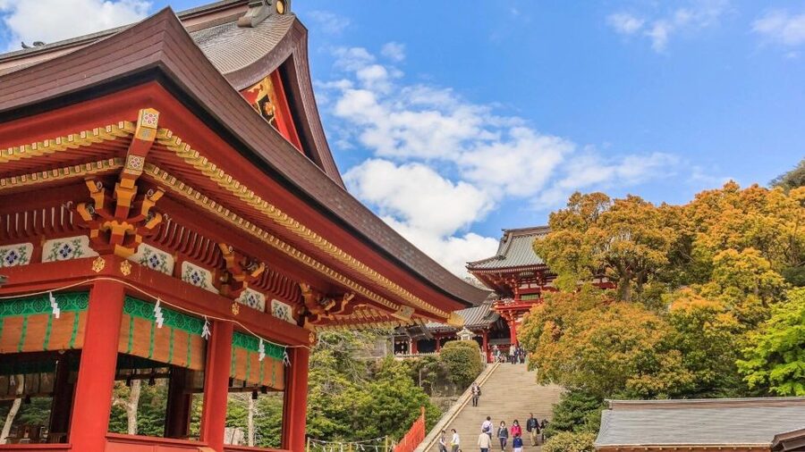 Kamakura Half Day Tour with a Local Expert Guide - Price and Value: When $87 Makes Sense