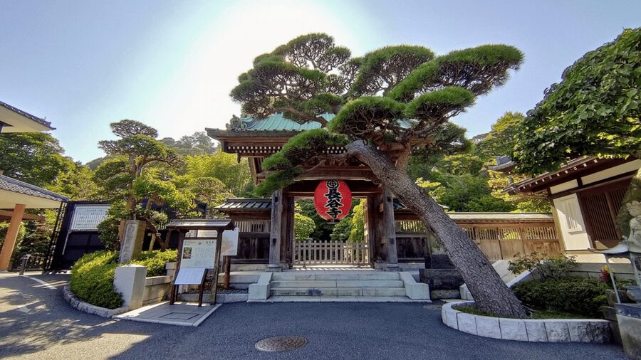 Kamakura Half Day Tour with a Local Expert Guide - Should You Book This Kamakura Half-Day Tour?