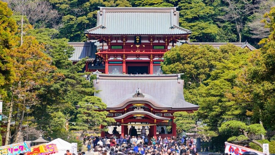 Kamakura Half Day Tour with a Local Expert Guide - Tsurugaoka Hachimangu Shrine: The Best First Stop