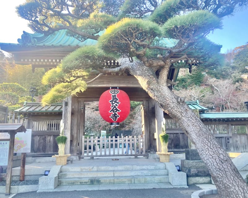 Kamakura: Half day Walking tour & Japanese sweets - Tsurugaoka Hachiman-gū: 800 years of samurai-era traces