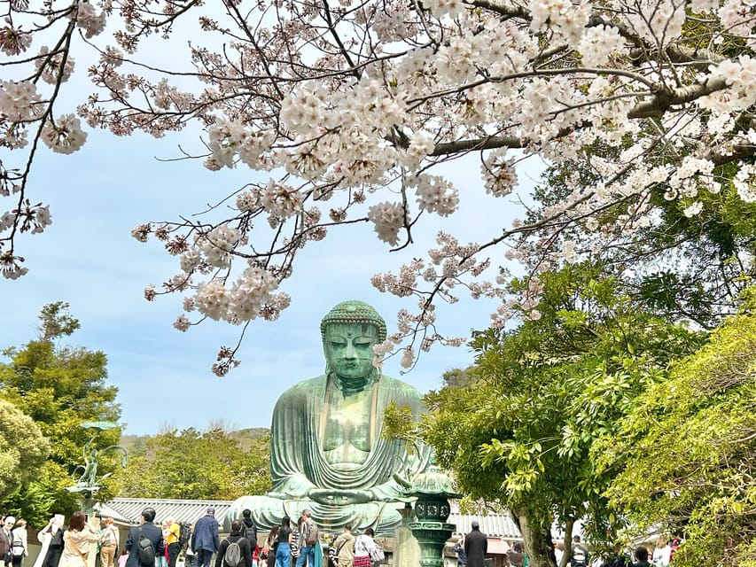 Kamakura: Half day Walking tour & Japanese sweets - Komachi-dori tea break: nerikiri and matcha, plus a real reset