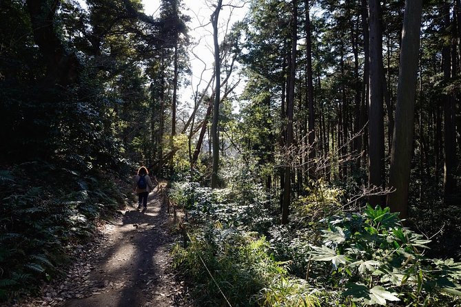 Kamakura One Day Hike Tour with Government-Licensed Guide - Kamakura in a day: why this hike makes sense