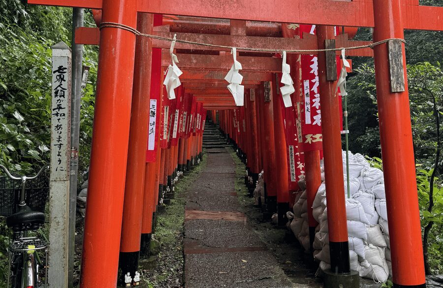Kamakura Private Custom Tour with Local Guide - Hokokuji Bamboo Forest: The Quiet Zen Moment