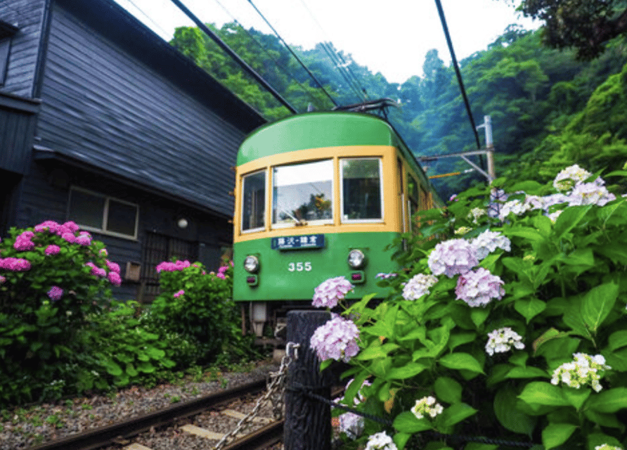 Kamakura Private Custom Tour with Local Guide - Public Transit Logic: Paying Fares, Not Paying for Comfort