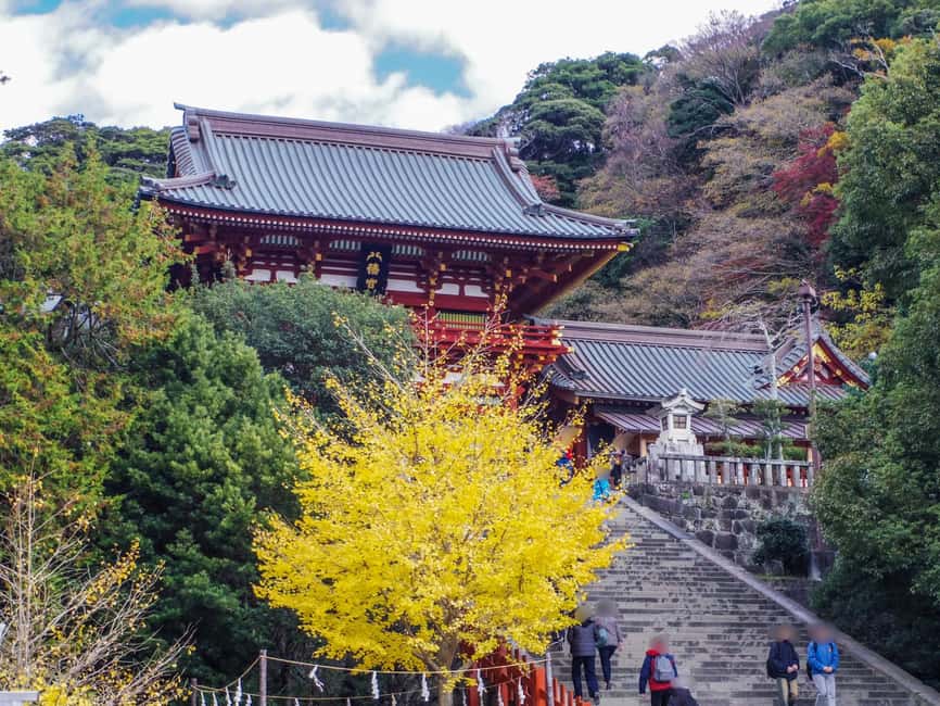 Kamakura Private & Customized Half-Day Tour with Local Guide - Private half-day pacing: how the 3–6 hours really works