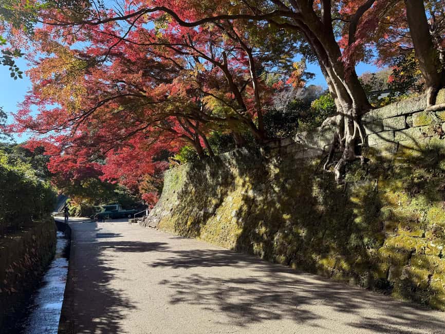 Kamakura Private & Customized Half-Day Tour with Local Guide - Who should book this Kamakura half-day tour