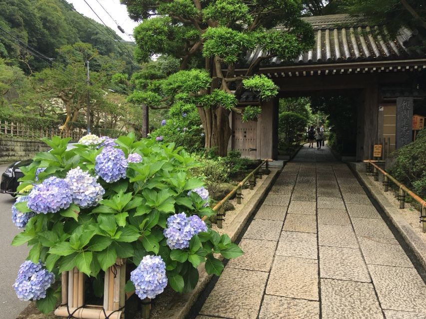 Kamakura: Private History and Heritage Tour by Rickshaw - Key things you’ll notice on this Kamakura rickshaw tour
