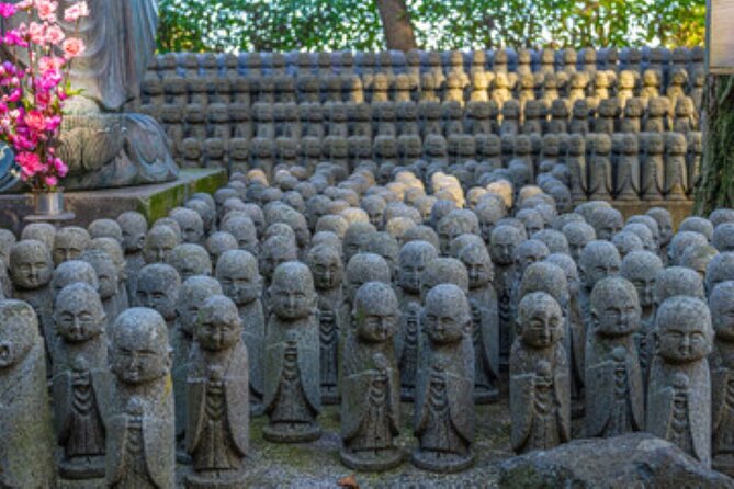 Kamakura Private Tour Great Buddha & Enoshima with English guide - The Value of a Private Day Trip from Tokyo
