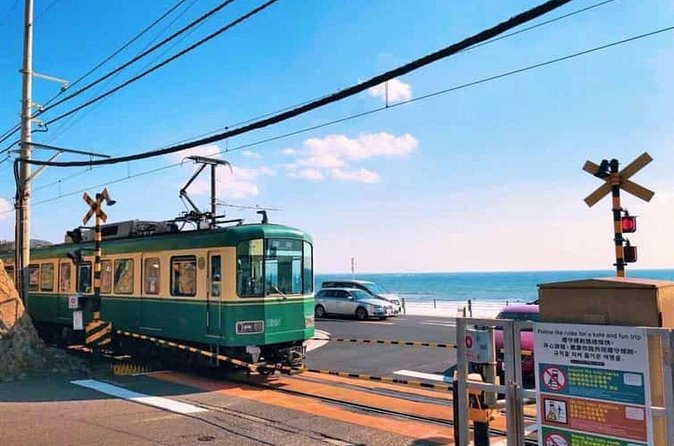 Kamakura Private Tour Great Buddha & Enoshima with English guide - Hokoku-ji Bamboo Grove: A Different Kind of Temple Stop