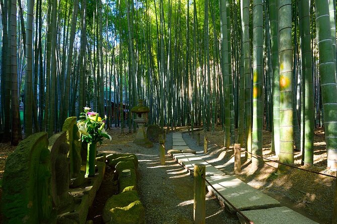 Kamakura Private Tour Great Buddha & Enoshima with English guide - Kotoku-in and the Great Buddha of Kamakura: Your First Big Wow