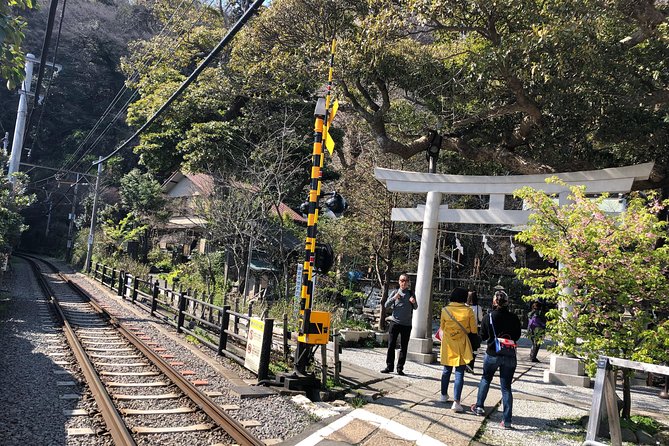 Kamakura Scenic Bike Tour - Stop-by-Stop: Temples, Shrines, Bamboo, and the Great Buddha