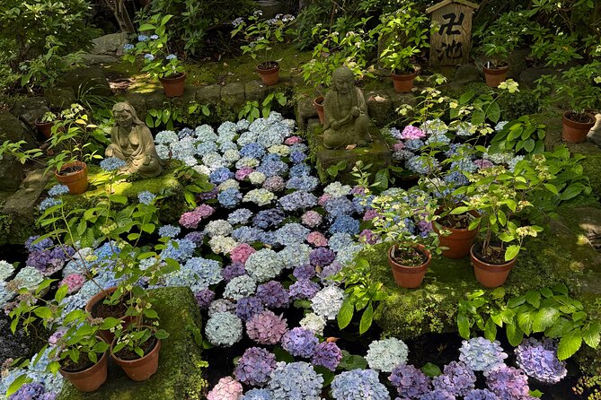 Kamakura Tours Half Day or Full Day Tours with a local guide. - Timing, Walking Pace, and How an 8-Hour Day Typically Feels