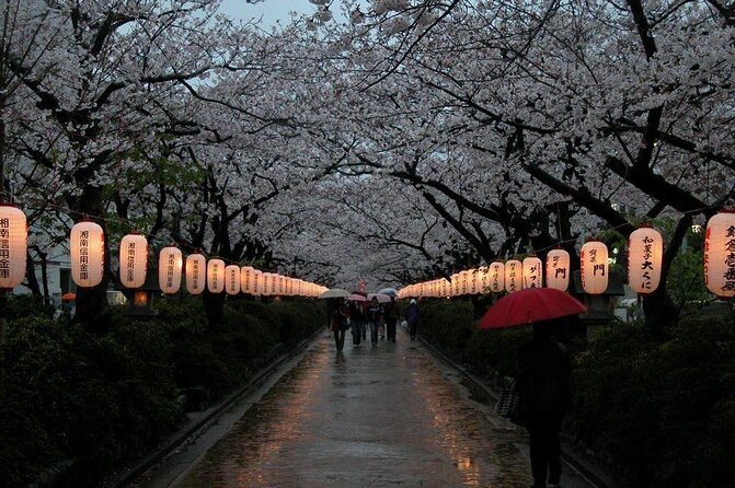 Kamakura & Yokohama One-Day Tour with English Driver - A private Kamakura and Yokohama day that stays organized