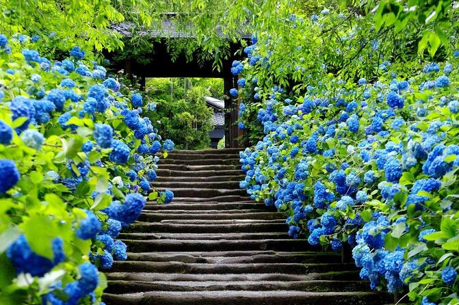 Kamakura & Yokohama One-Day Tour with English Driver - 8:00 am pickup and how the day actually runs