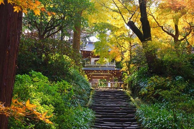 Kamakura Zen Temples and Gardens Private Trip with Government-Licensed Guide - Key highlights worth planning around
