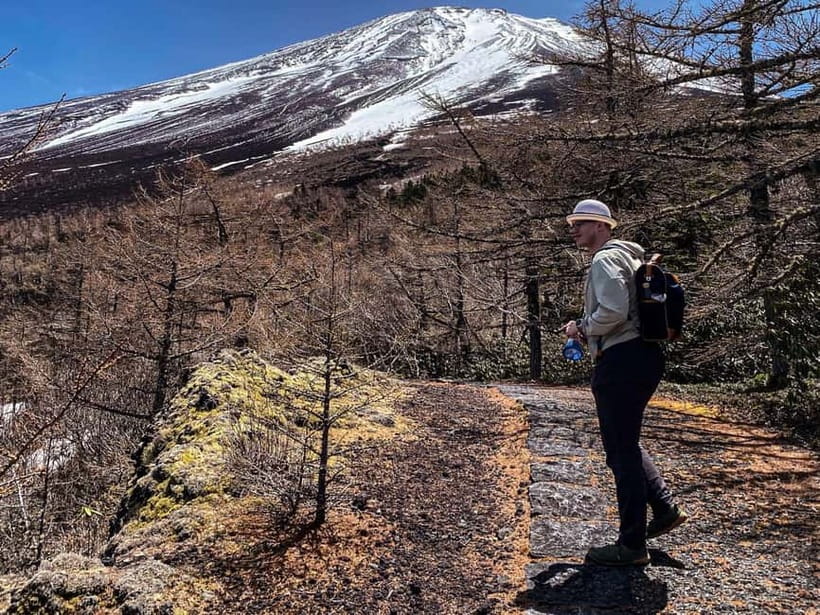 Kawaguchiko: Hidden Mt. Fuji Driving Tour with a Local Guide - Aokigahara Forest guided walk: where the day turns quieter