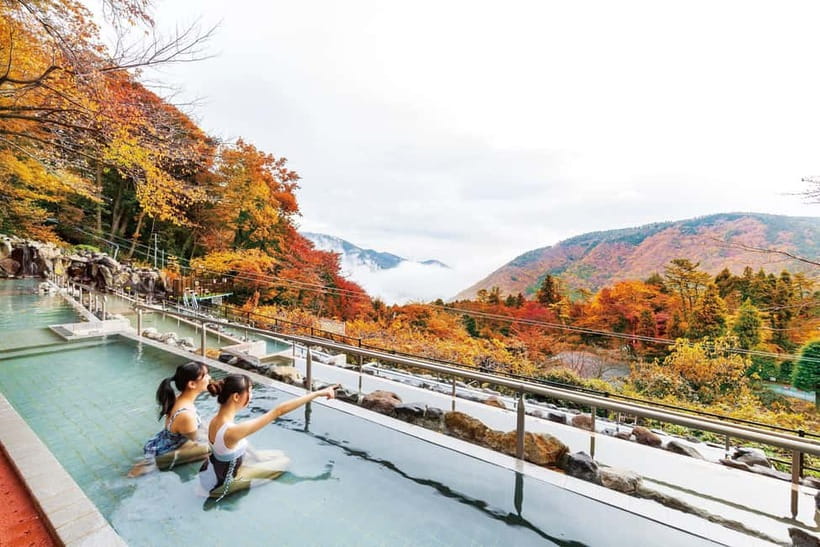 Kowakien Yunessun Hot Springs Entry Ticket - Themed bath lineup: wine, coffee, green tea, and sake