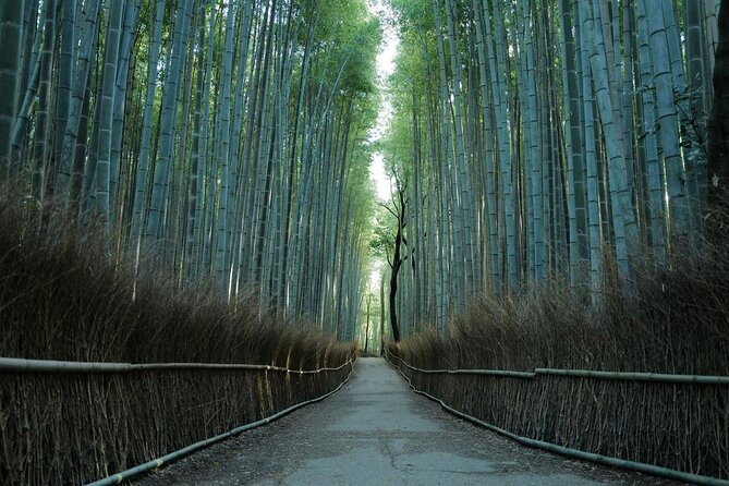 Kyoto Early Bird Tour Tokyo Round or One Way Shinkansen - The early-bird schedule that makes one-day Kyoto work