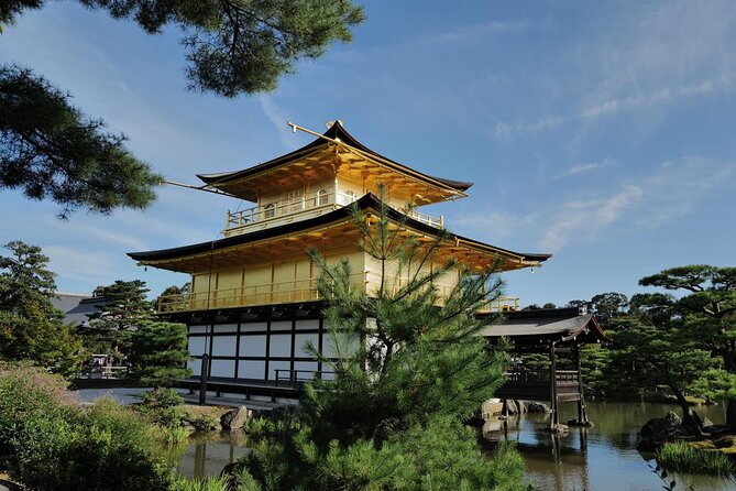 Kyoto Early Bird Tour Tokyo Round or One Way Shinkansen - Small group size changes everything (seriously)