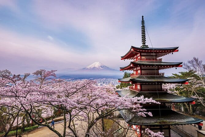 Kyoto Uncovered: One Full-Day Private Experience for First-Timers - Stop 2: Arashiyama bamboo forest street and Nonomiya Shrine