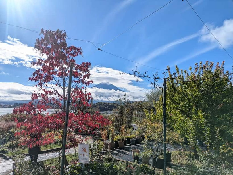 Lake Kawaguchi : Half day Private Tour with local guide - Kitaguchi-hongu Fuji Sengen Shrine: Where the Pilgrimage Mood Starts