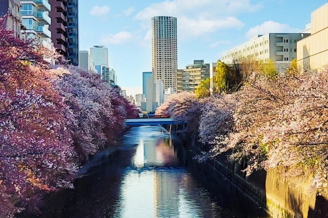 Licensed Guide Tokyo Meguro Cherry Blossom Walking Tour - Key highlights worth your time