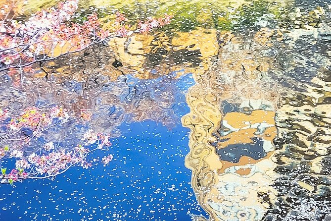Licensed Guide Tokyo Meguro Cherry Blossom Walking Tour - Shinjuku by bus plus a performance break with taiko and samurai