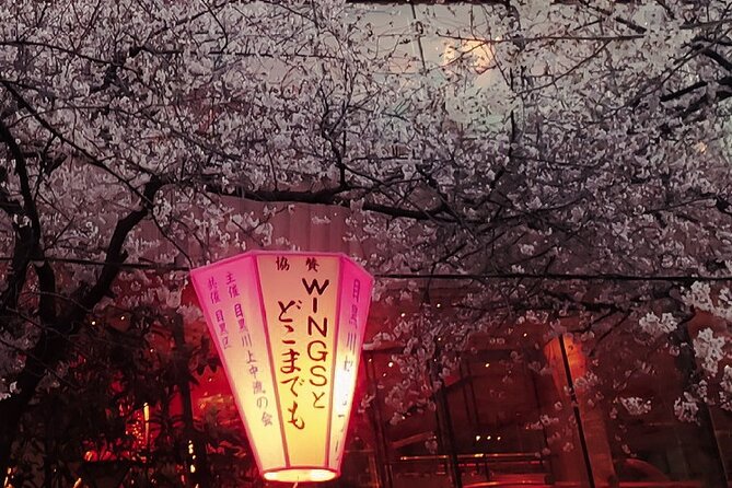 Licensed Guide Tokyo Meguro Cherry Blossom Walking Tour - Price and value: why $22 can make sense here