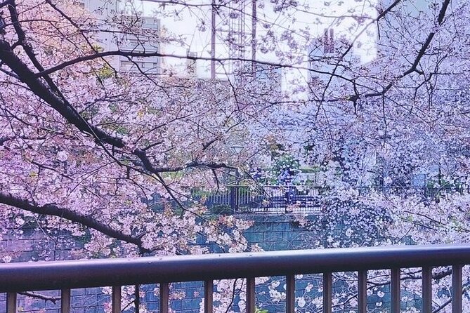 Licensed Guide Tokyo Meguro Cherry Blossom Walking Tour - Finding the meeting point at Starbucks opposite Nakameguro Station