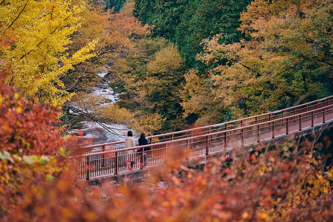 Little Adventure with Cycling in Tokyo No. 1 Crystal Clear River - River trekking to a hidden waterfall (waterproof gear and a wow moment)