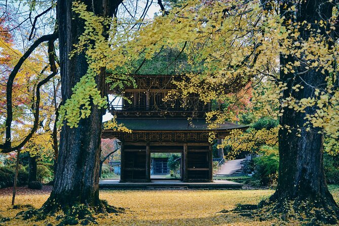Little Adventure with Cycling in Tokyo No. 1 Crystal Clear River - The Edo-era connection you can actually picture