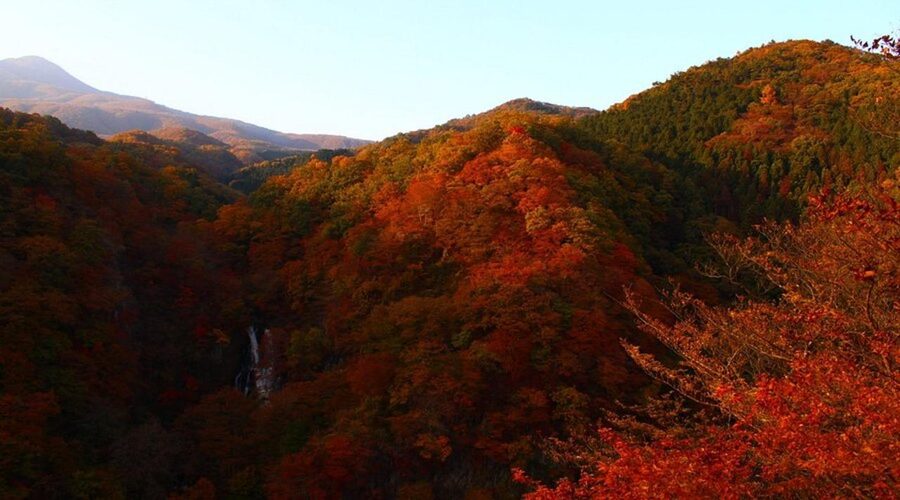 Luxury Nikko Gateway;Private Guided tour - Nikkō National Park and the Easy Pace of Guided Nature Stops