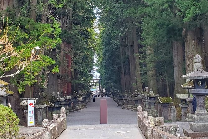 Majestic Mt. Fuji & Hakone Retreat –A Private Day Tour from Tokyo - The ride from Tokyo: comfort, Wi‑Fi, and how to handle traffic