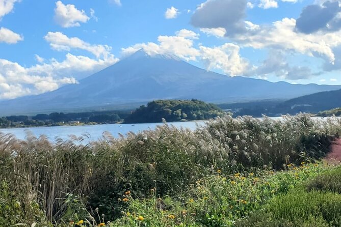 Majestic Mt. Fuji & Hakone Retreat –A Private Day Tour from Tokyo - Customizing on the fly with a private vehicle