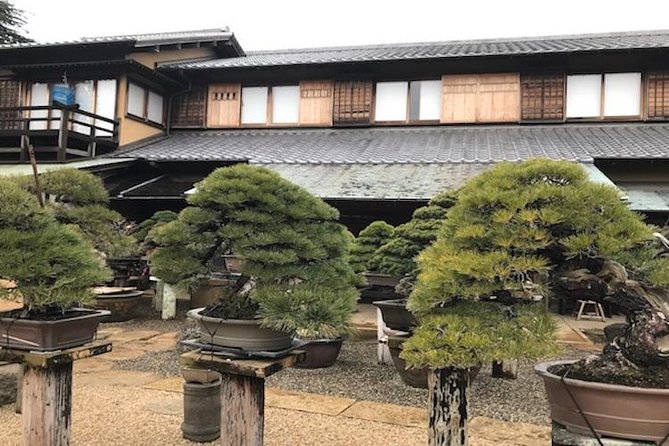 Make Your Own Bonsai with a Professional Bonsai Artist in Tokyo - Shunkaen BONSAI Museum: where the lesson starts