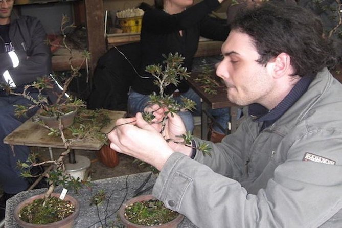 Make Your Own Bonsai with a Professional Bonsai Artist in Tokyo - Make Your Own Bonsai: the 2-hour flow in plain terms