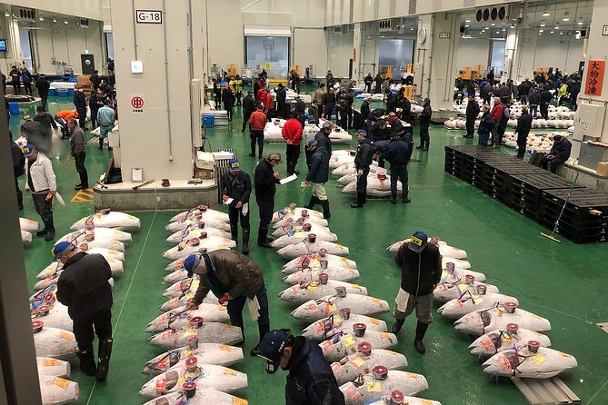 Morning Market Adventure: Toyosu & Tsukiji with Tuna Auction - Key highlights you’ll feel right away