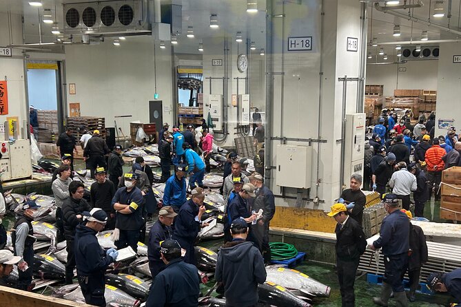 Morning Market Adventure: Toyosu & Tsukiji with Tuna Auction - Toyosu Ichiba Suisan Nakaoroshi Uribato: the tuna auction with real context