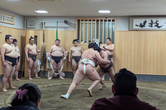 Morning Sumo Practice Viewing in Tokyo - Why this 7:30 a.m. sumo session is worth the early start