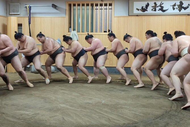 Morning Sumo Practice Viewing in Tokyo - Photos with wrestlers: what to expect without getting your hopes too high