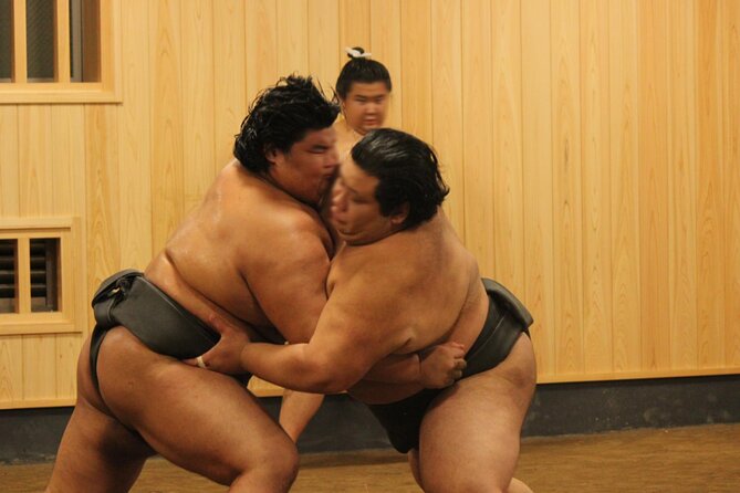 Morning Sumo Practice Viewing in Tokyo - Guides, etiquette, and how to make the most of the hour-by-hour plan