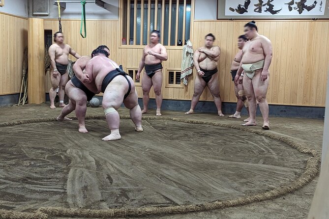 Morning Sumo Practice Viewing in Tokyo - Price and value: is $99.08 a fair deal?