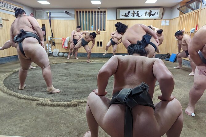 Morning Sumo Practice Viewing in Tokyo - From Tokyo Skytree to sumo rules: your morning gets organized fast